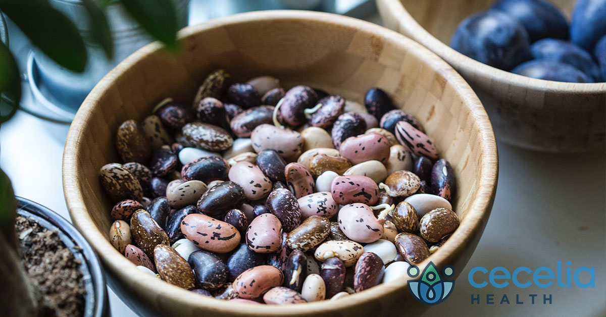 Beans: Carbohydrate, Protein, or a “Musical Fruit”?